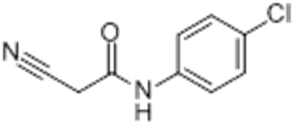 4-氯-2-氰基乙醯苯胺