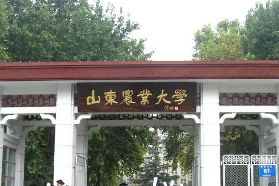 山東農業大學泮河校區(山東農業南校區)