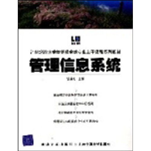 管理信息系統(2007年山東人民出版社出版的圖書)