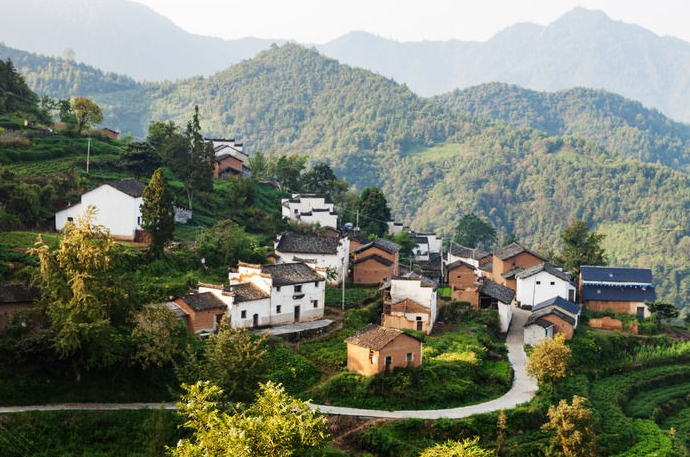 金龍村(湖南衡山縣白果鎮金龍村)