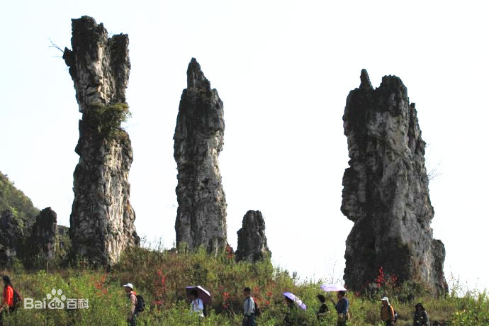 泥凼石林風景名勝區