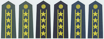 陸海空軍大校常服肩章(2007—)