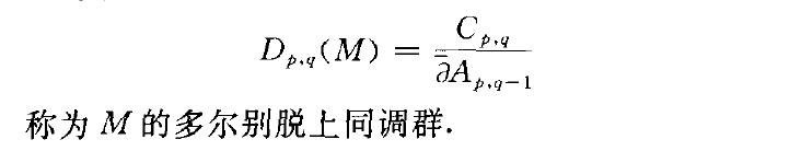 多爾別脫上同調群