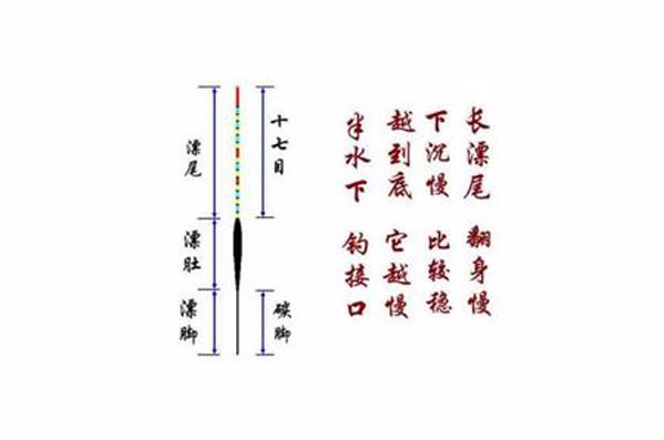 初學者釣魚入門