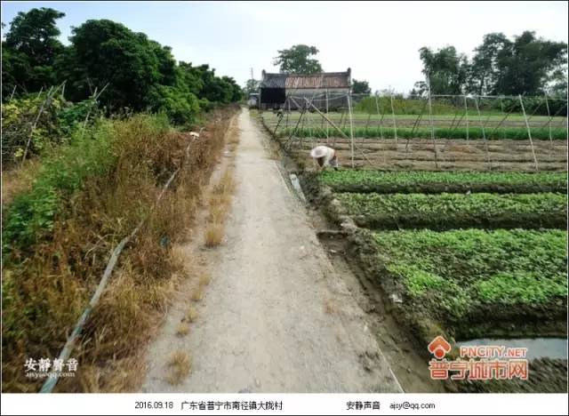 大隴村(廣東省揭陽市普寧市南徑鎮下轄村)