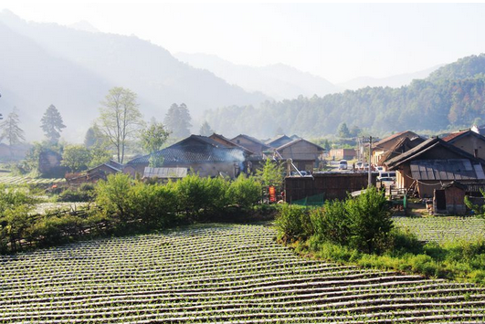 袁家莊遺址