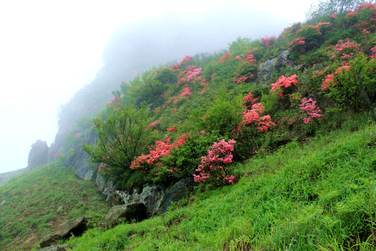 三公山(樅陽縣最高峰)