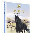 動物小說精品館：黑駿馬