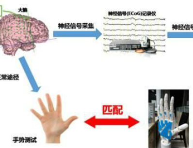 人腦意念控制實驗