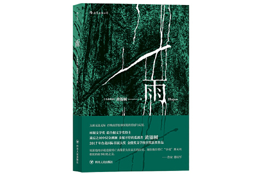 雨(2024年四川人民出版社出版的圖書)