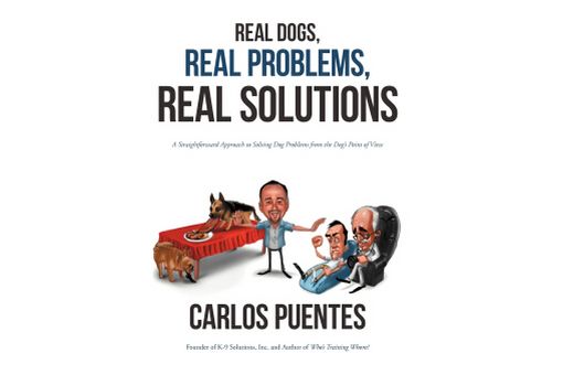 Real People, Real Problems, Real Solutions