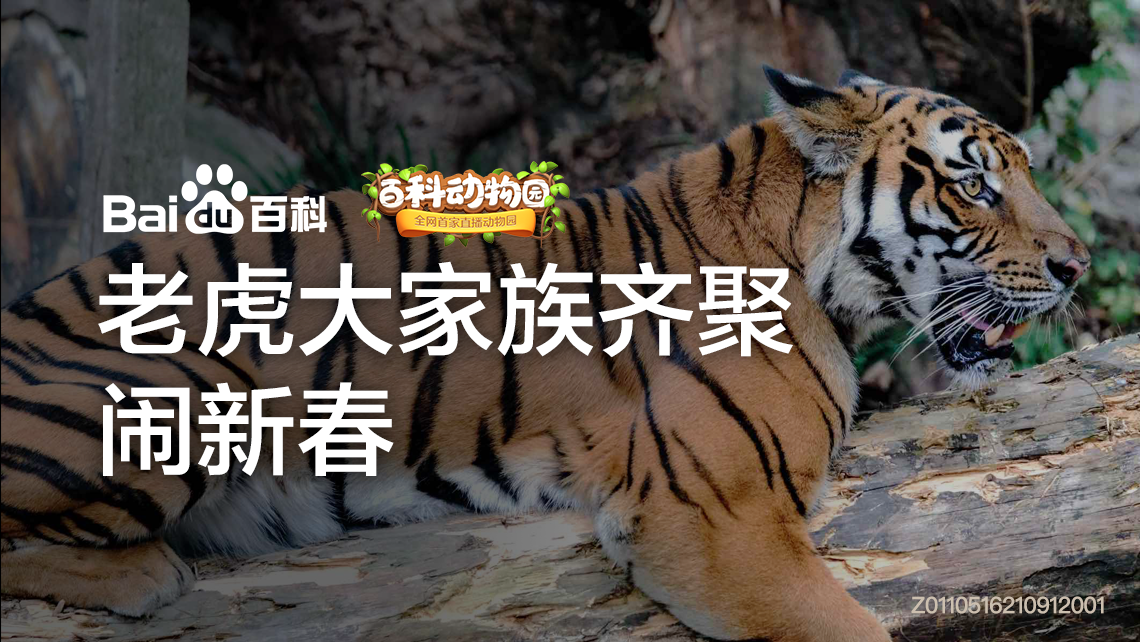 百科動物園