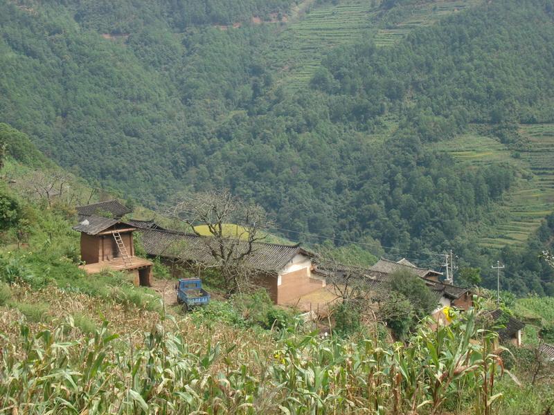 背里樹村