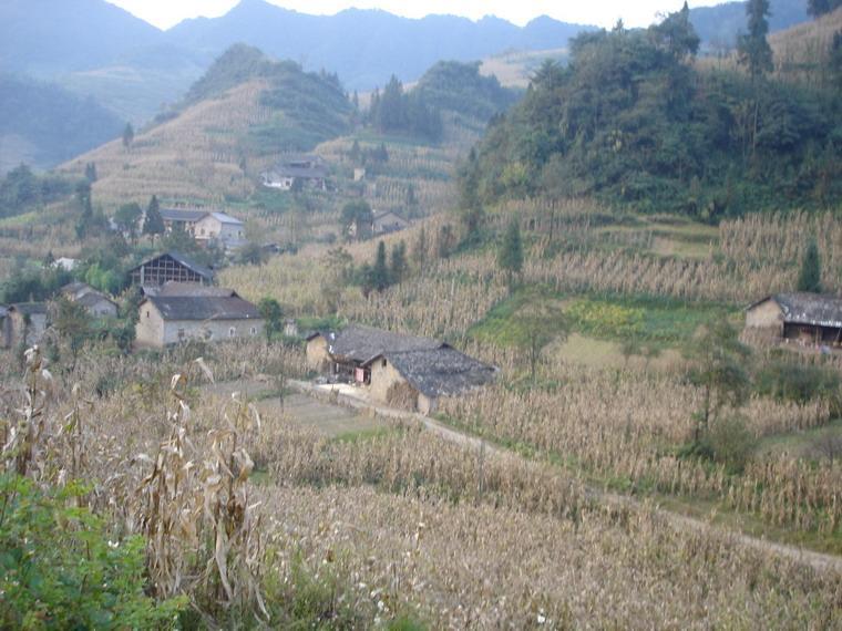 吉家溝自然村(雲南省昭通市鎮雄縣林口彝族苗族鄉菜子村轄自然村)