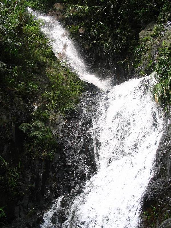 新豐江國家森林公園桂山風景區