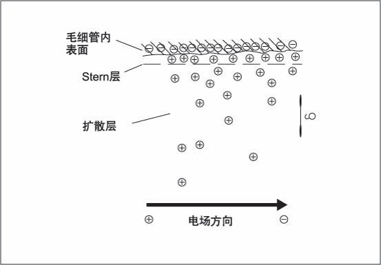 毛細管電泳色譜法