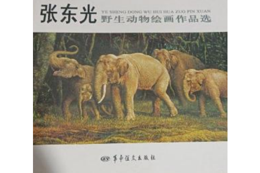 張東光野生動物繪畫作品選