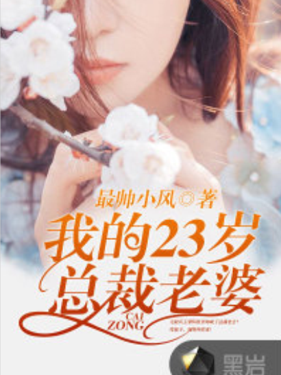 我的23歲總裁老婆