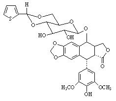 替尼泊苷注射液