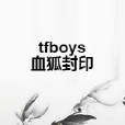 tfboys血狐封印