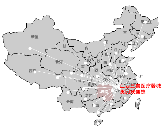 國內市場