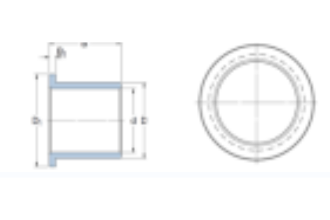 SKF PBG101220F軸承