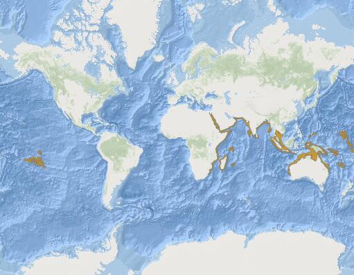 尖鰭檸檬鯊分布圖