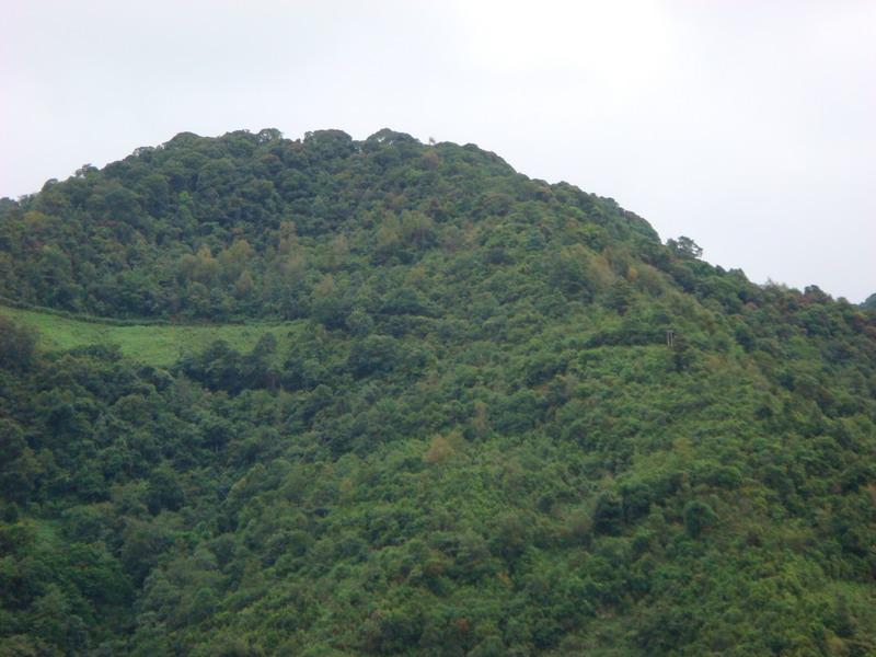 永別讓村(永別讓自然村)