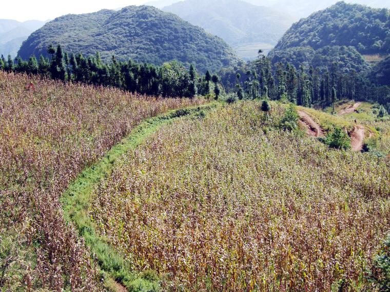 尾魯底村