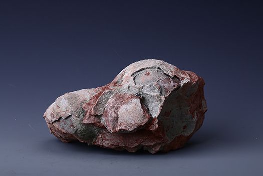 白堊紀恐龍蛋化石(茂名市博物館藏品之三十五)