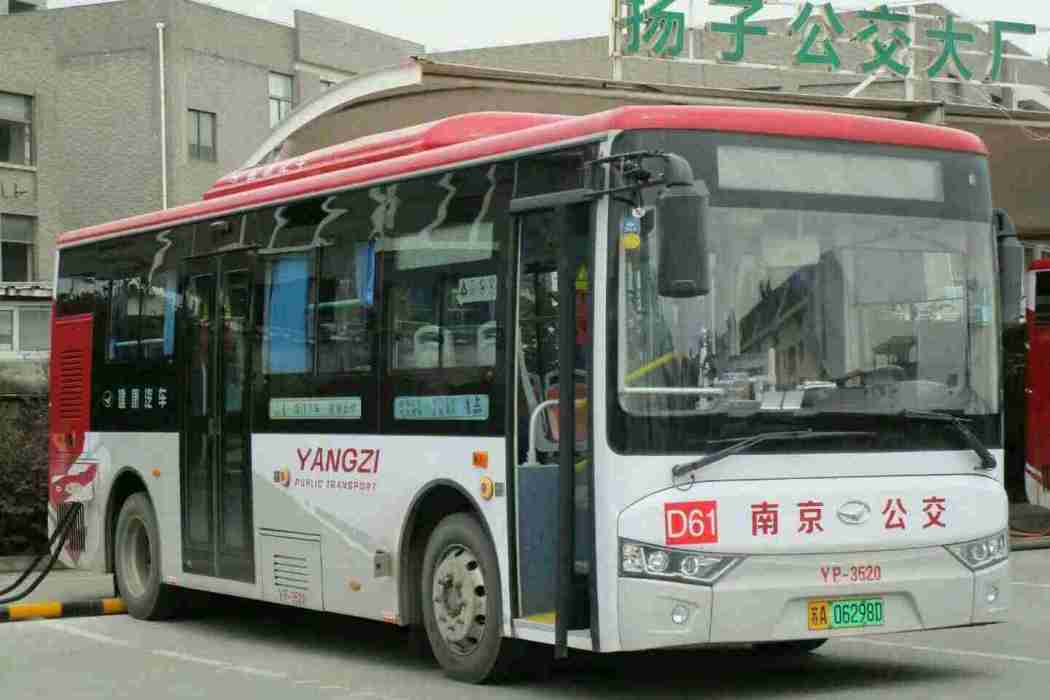 南京公交D61路