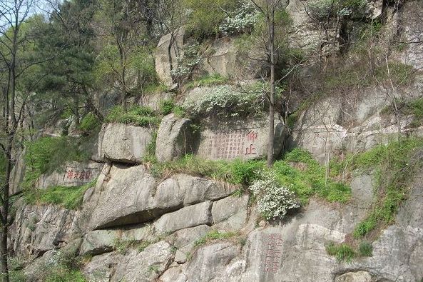 香油灣