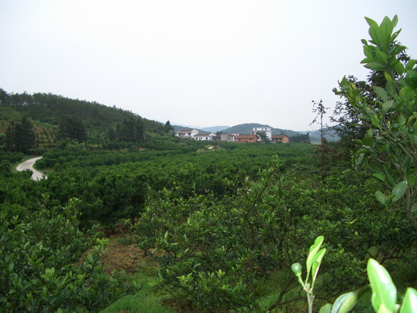 赤家壠花果山景區