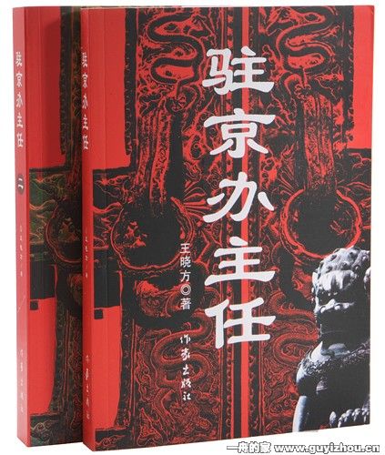 駐京辦主任(2008年作家出版社出版文學作品)