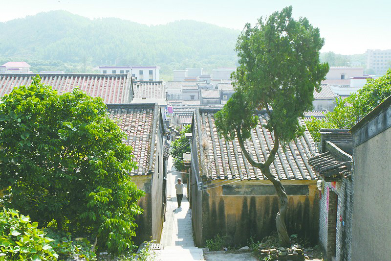 網山村(行政區域)