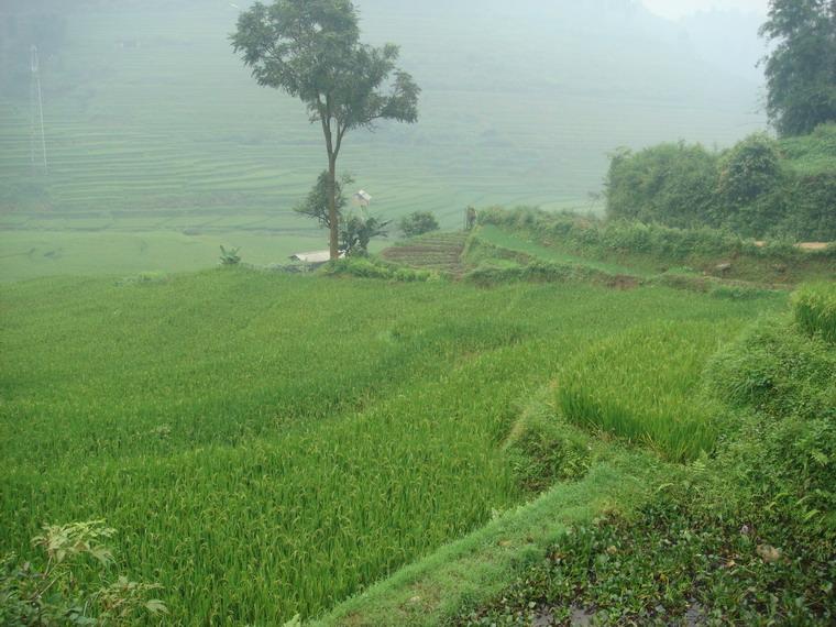 雲茂村