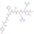強啡肽1～8片段
