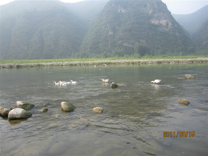 淅川縣西簧鄉河北村