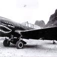 P-40E/K/M/N戰鬥機