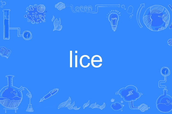 lice