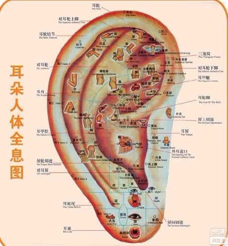 慢性外耳道炎