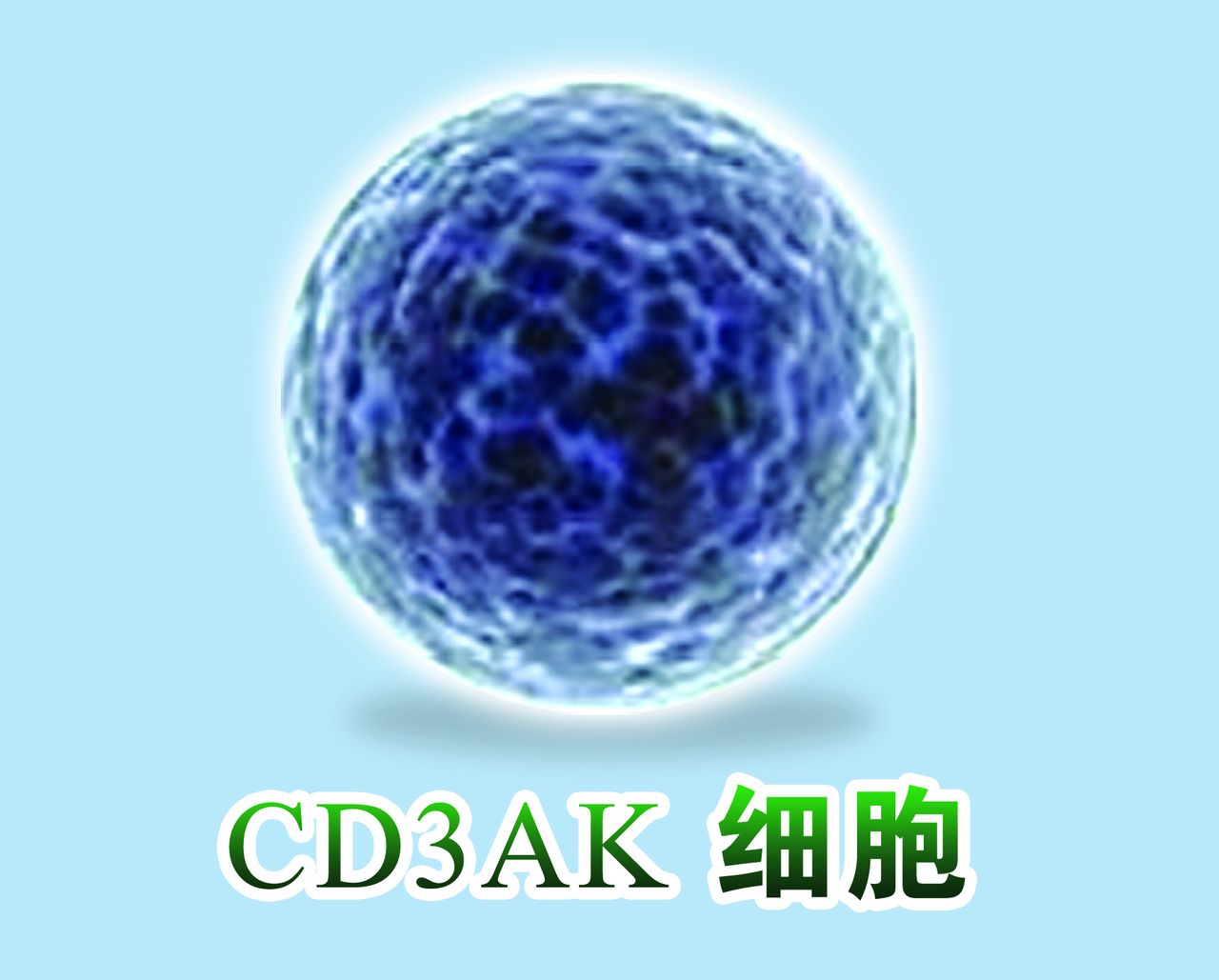 CD3AK細胞