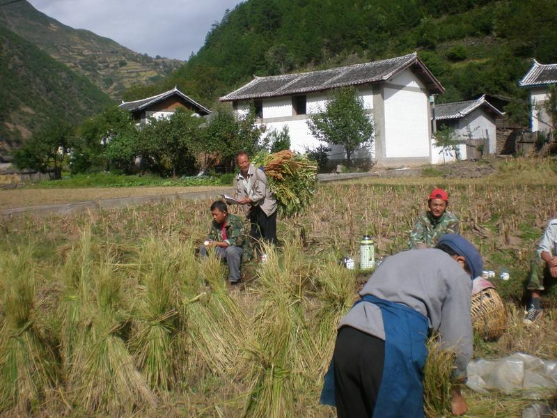 麻栗坪村