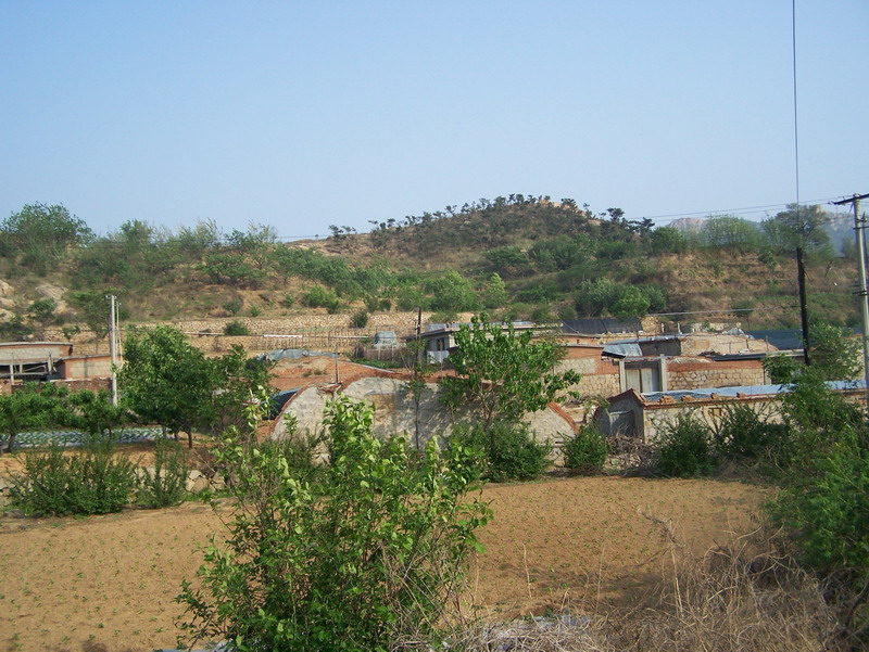 杏樹園村(山東省微山縣韓莊鎮杏樹園村)