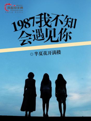 1987我不知會遇見你(風起中文網作者半夏花開滿樓創作的小說)