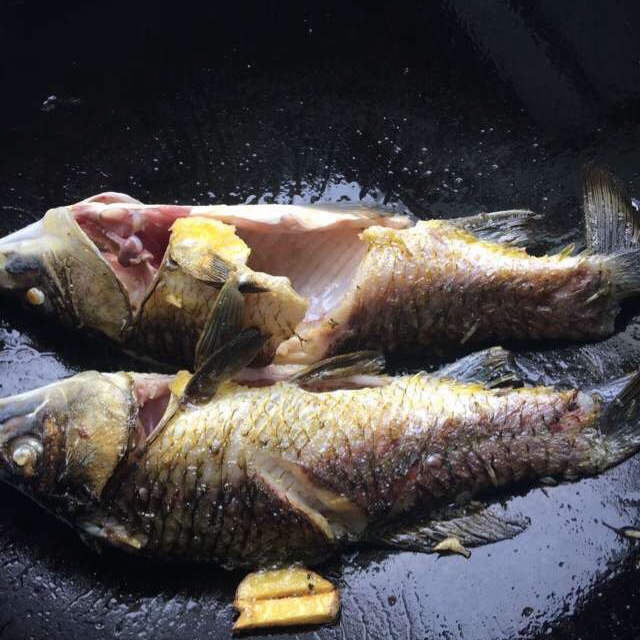 鯽魚奶白濃香豆腐湯