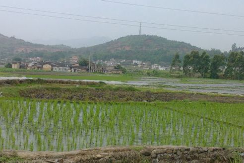 坑頭(廣東省梅州市蕉嶺縣文福鎮坑頭)