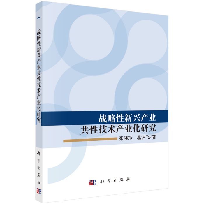 戰略性新興產業共性技術產業化研究