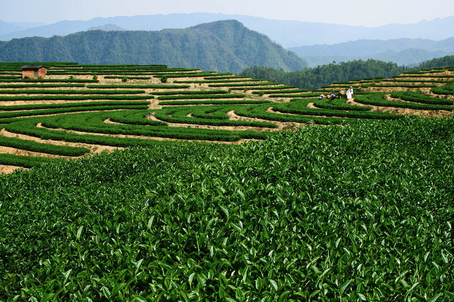 安頂山古道