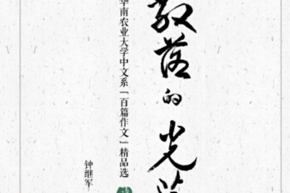 散落的光芒(2019年暨南大學出版社出版的圖書)